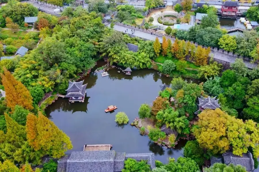 msn, 进行, 长新动能