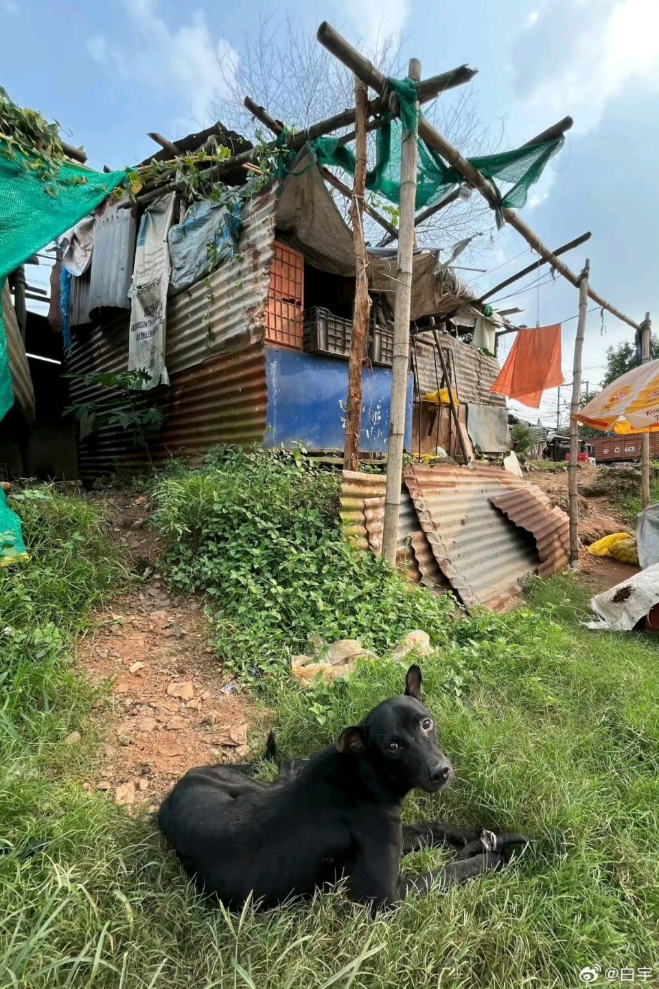 甚至不如中, 就是印度当, kpBlg