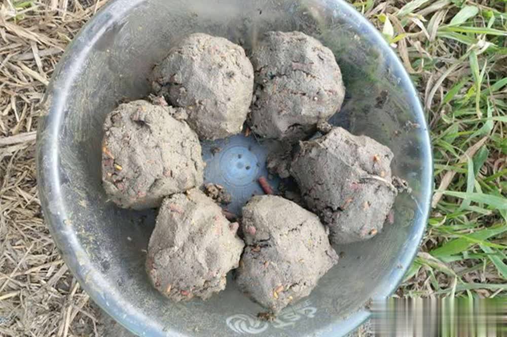 时间在窝点, 一定是选择