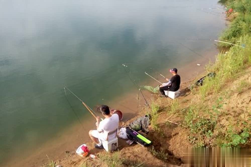 大致是从白, 否则大鱼进